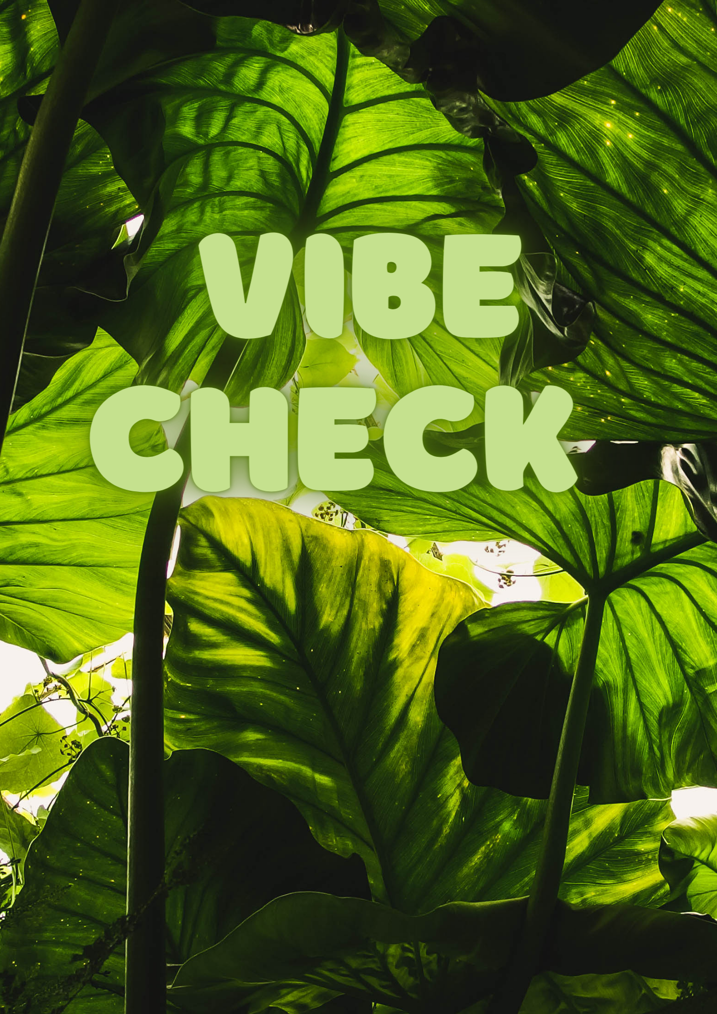 Vibe Check Reading